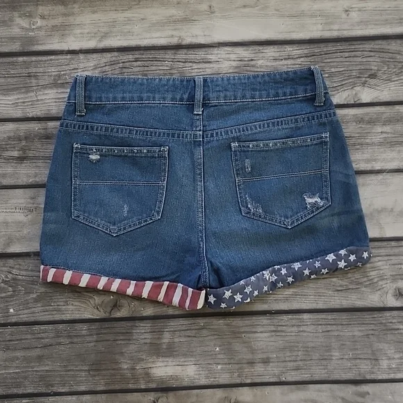 Lincoln Outfitters Distressed Stars and Stripes Denim Jean Shorts Sz 10 - Picture 5 of 5
